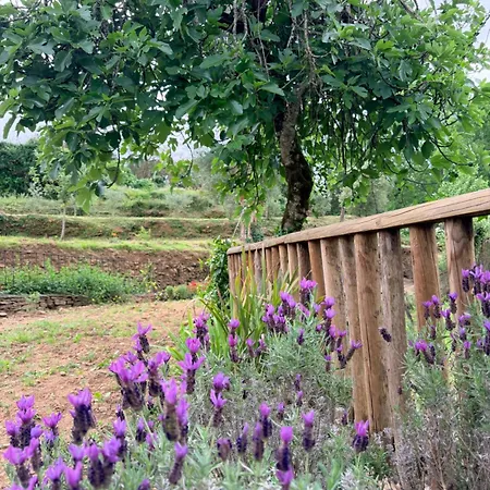 Semesterbostad Casa Do Cancelo *